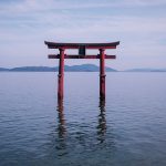 First Sakura – Cherry Blossom