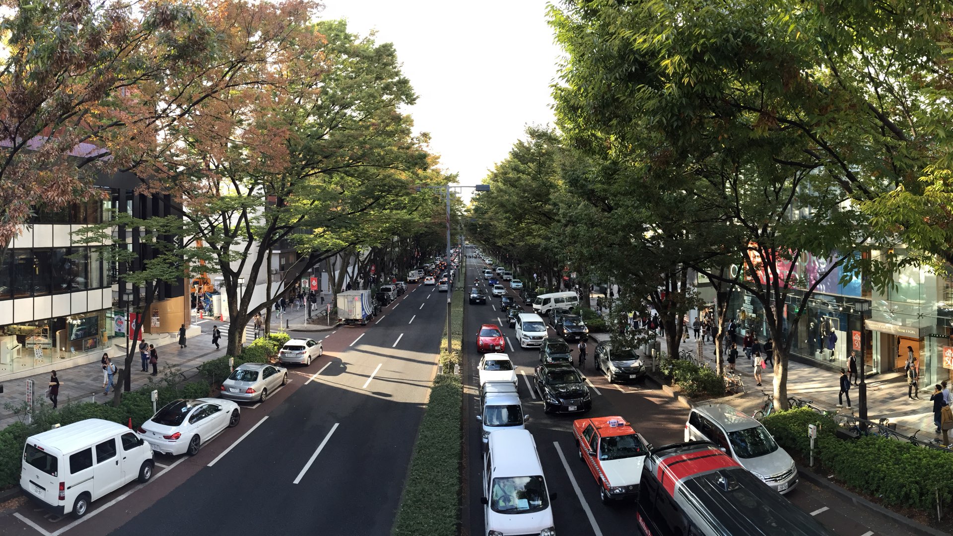 Omotesando Avenue