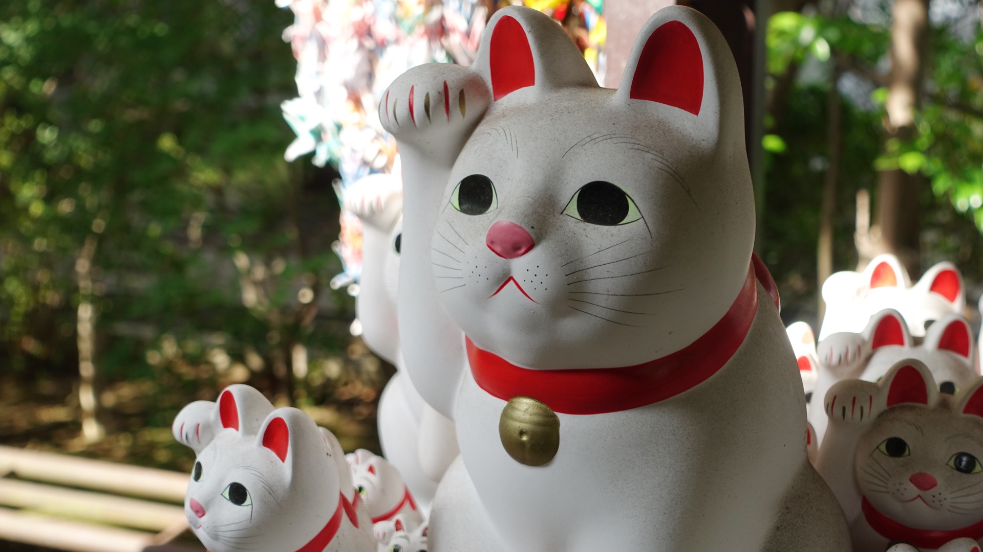 Gotokuji Temple / Maneki Neko