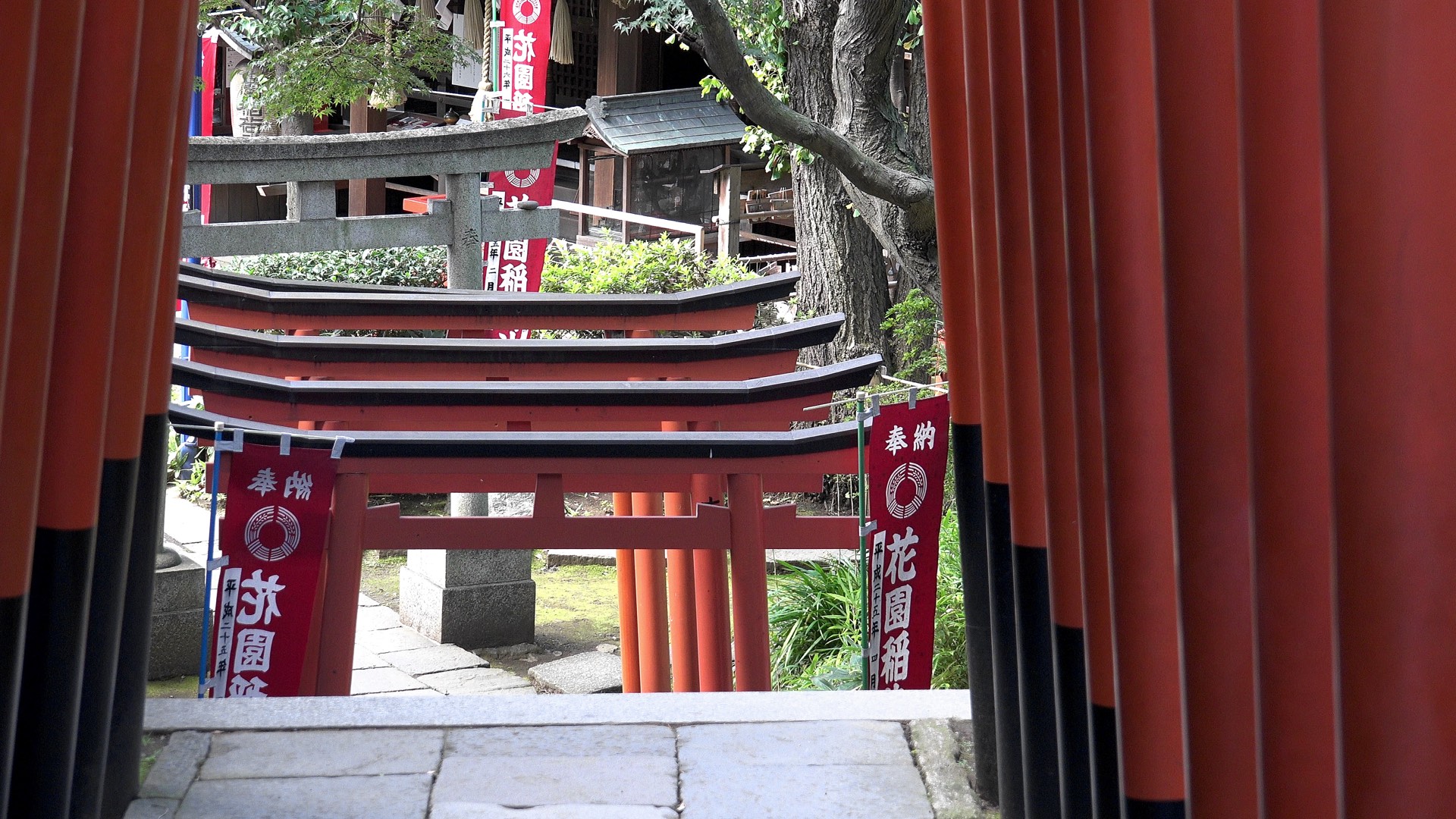 Ueno Park Part 1
