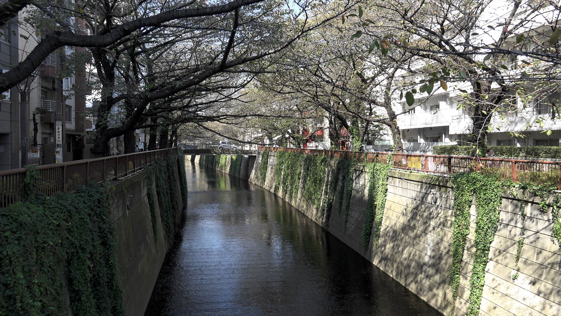 Nakameguro