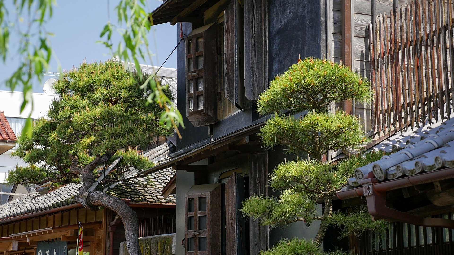 Ono River – Sawara