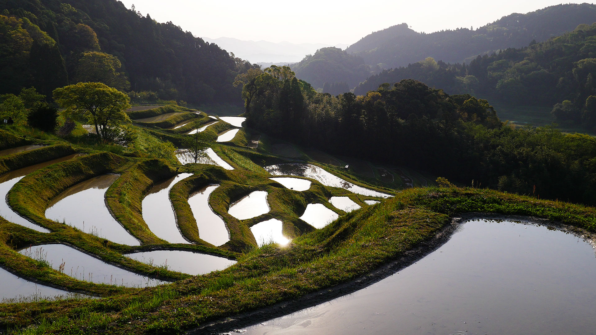 Hiratsuka terraced rice field