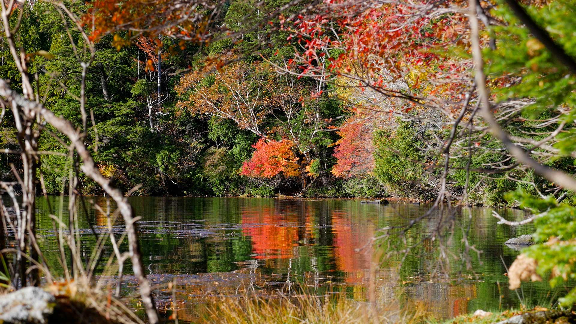 Autumn colors around Nikko