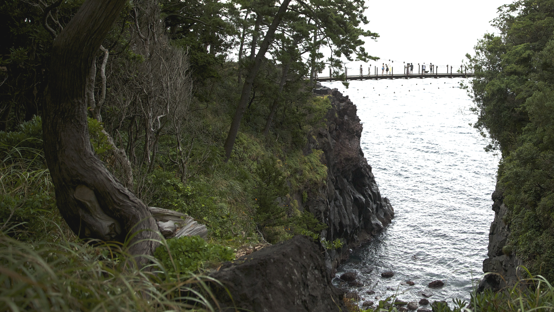 Kadowaki Suspension Bridge