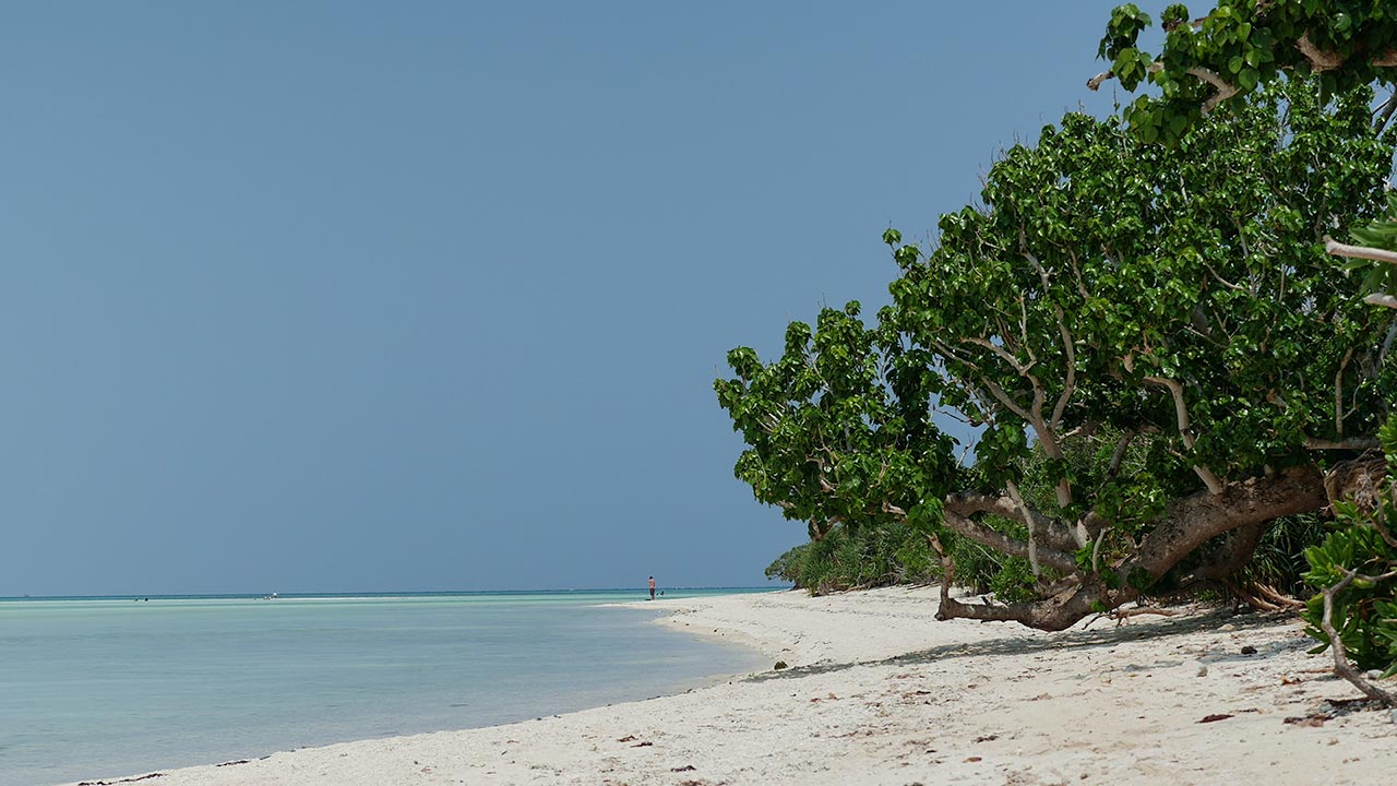 Taketomi Island Beaches