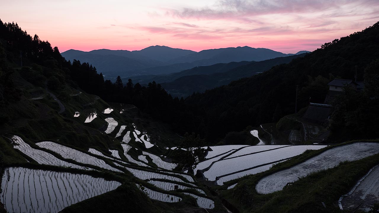 Izumidani rice terrace