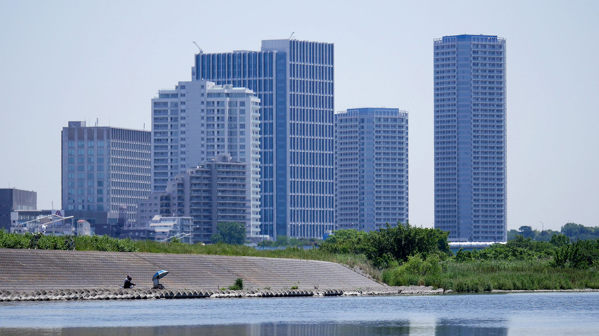 Tama River at Futako-Tamagawa