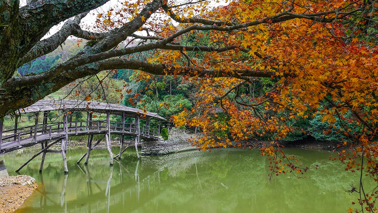 Yuge Shrine and the Taiko Bridge