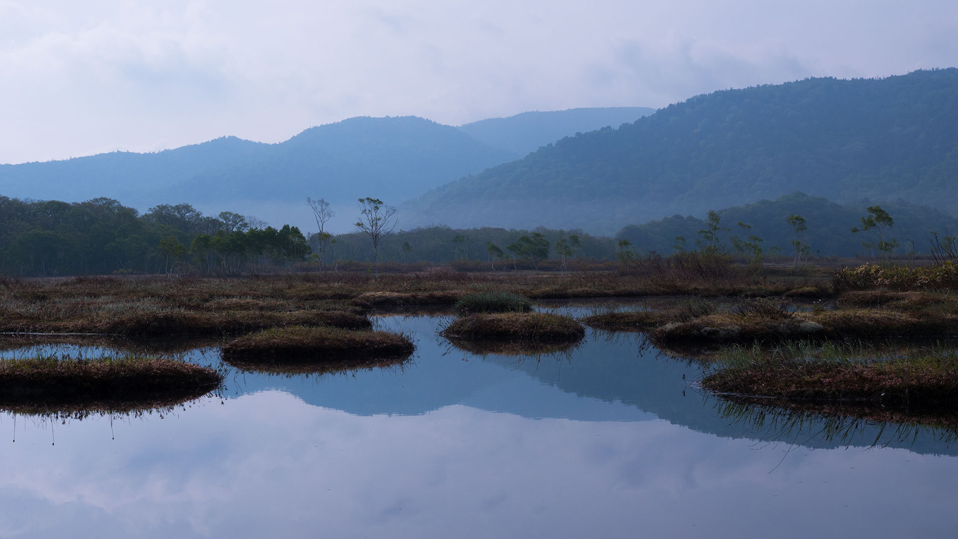 Oze Marshland