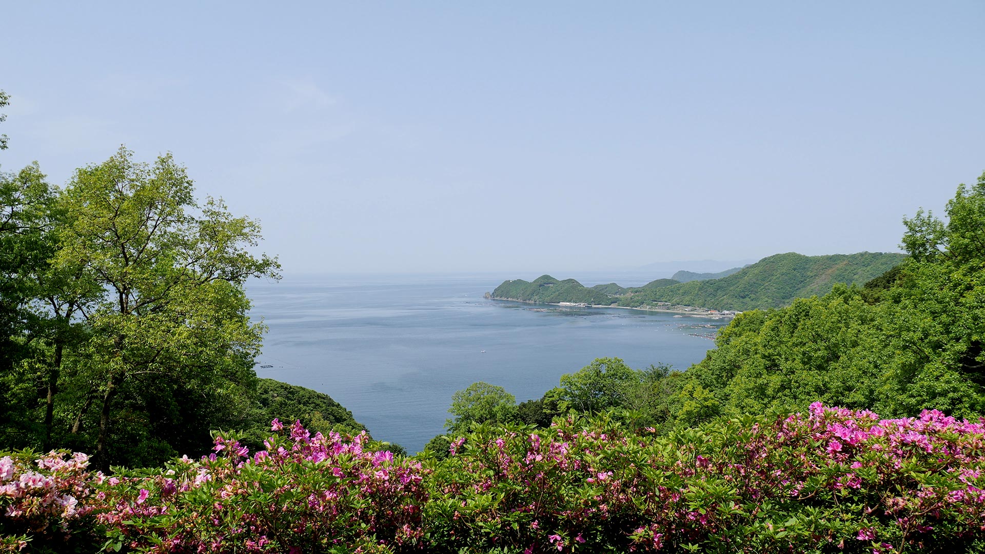 Beautiful Seiyo countryside