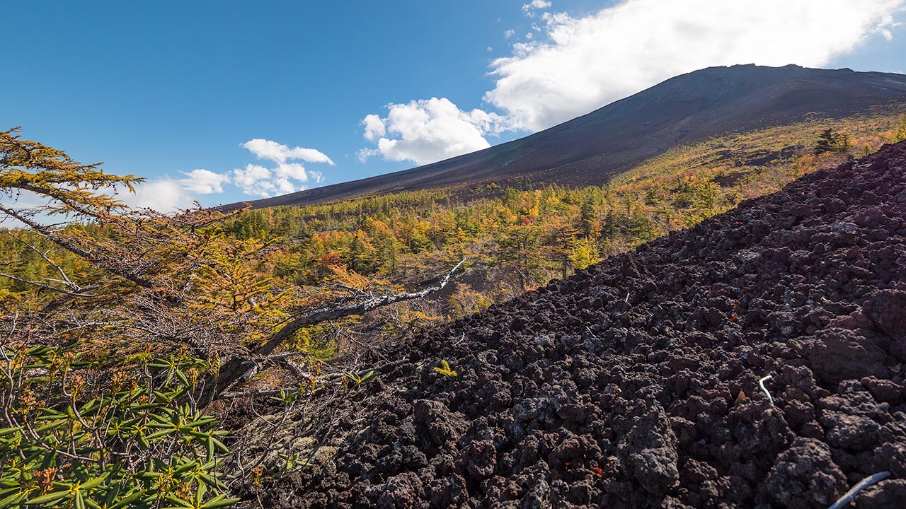 Fuji 5th Station autumn colors