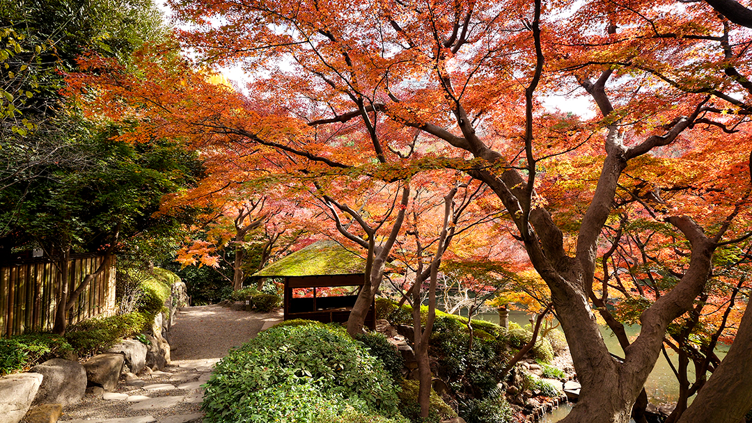 Happo-En Garden