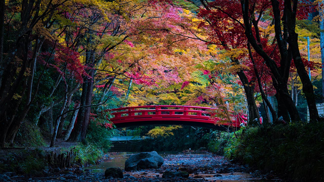 Okuni Shrine