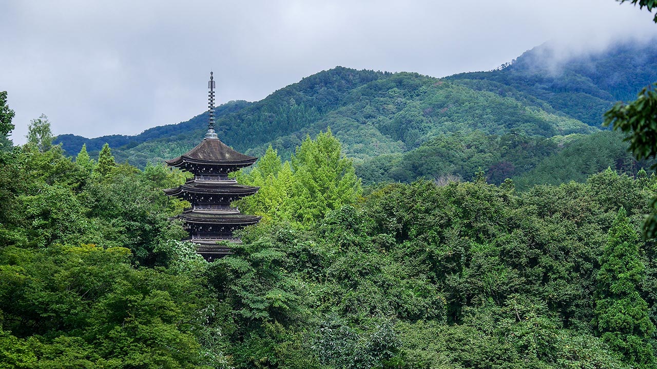 Joginyorai Saiho Temple