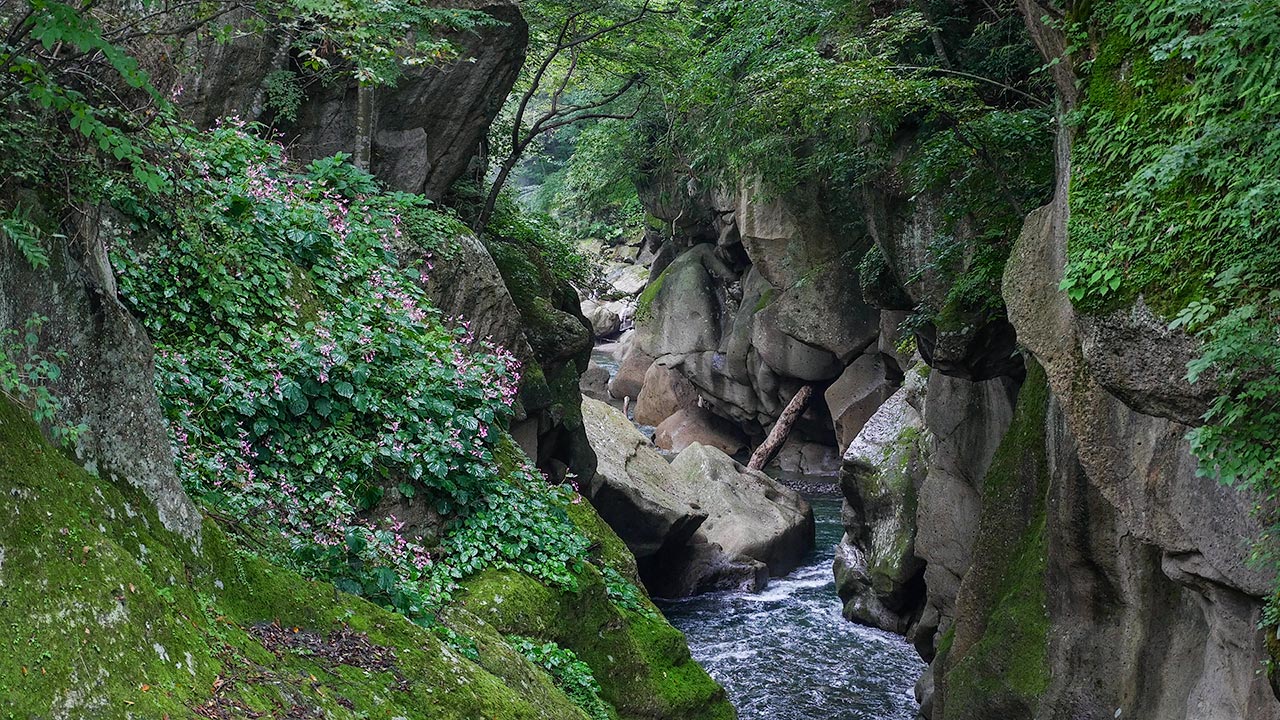Rairaikyo Gorge