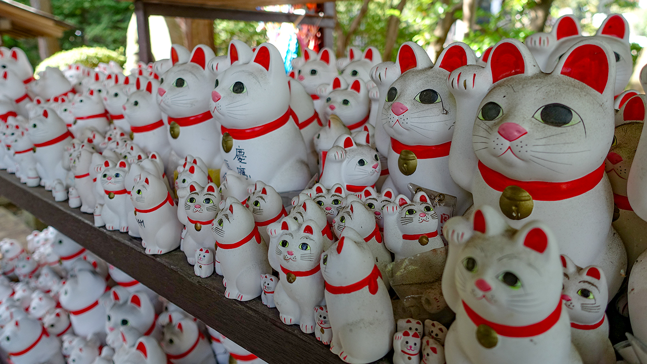 [360 Video] Gotokuji, the Cat Temple