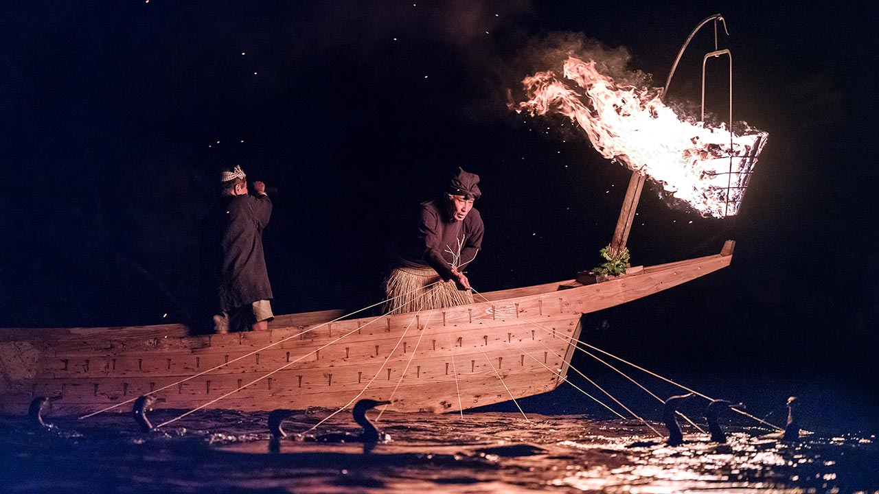 Ukai Cormorant Fishing