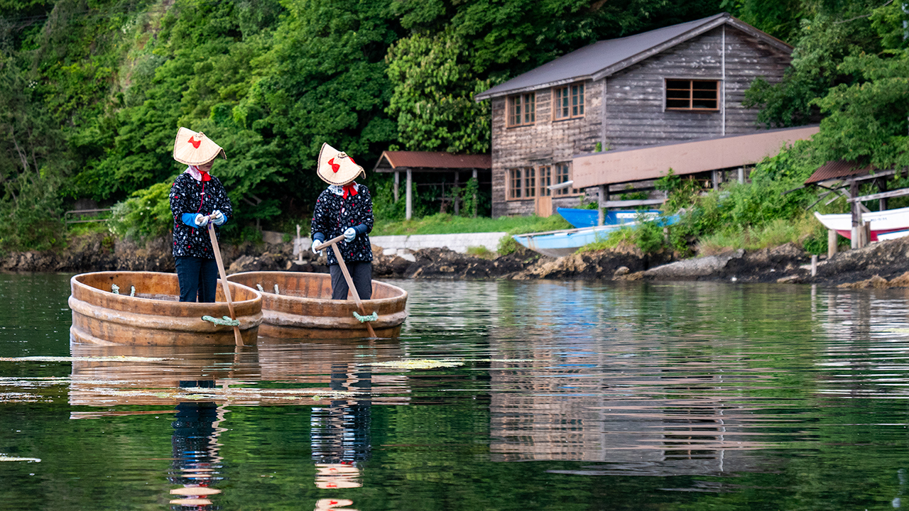 [Sado Island] Hangiri / Tarai-Bune