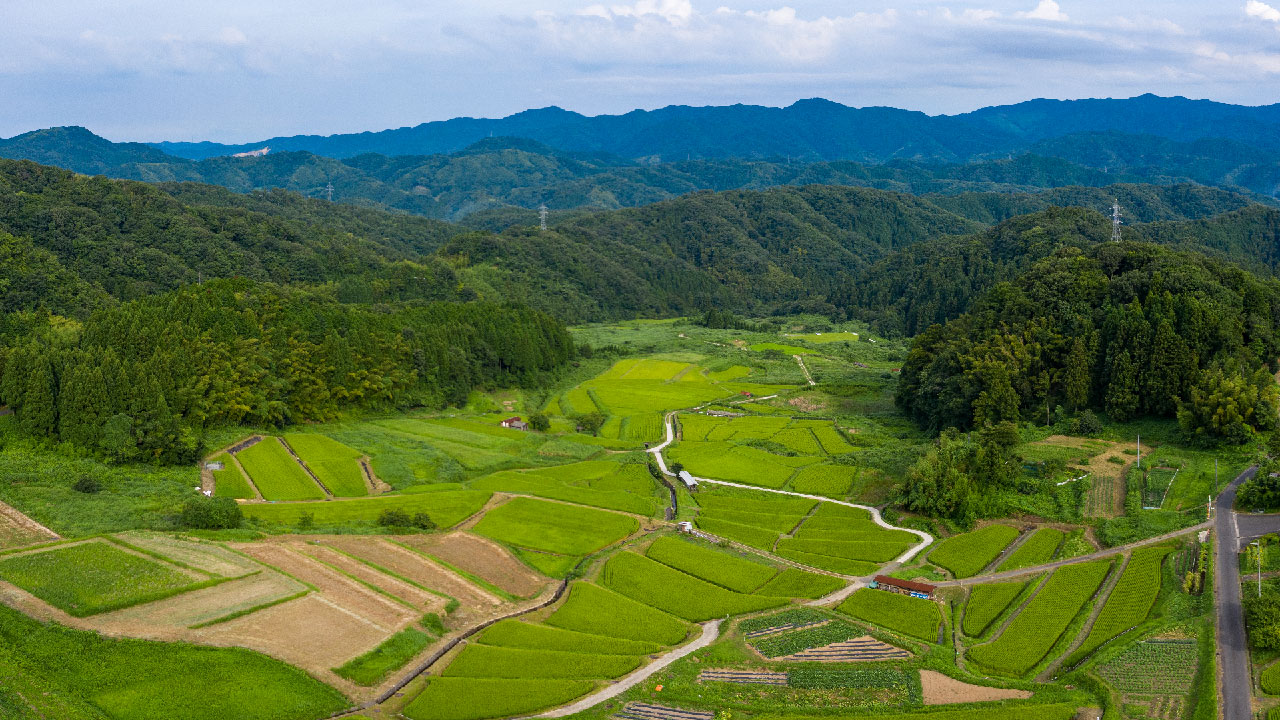 San-nouji Terraced Rice Fields