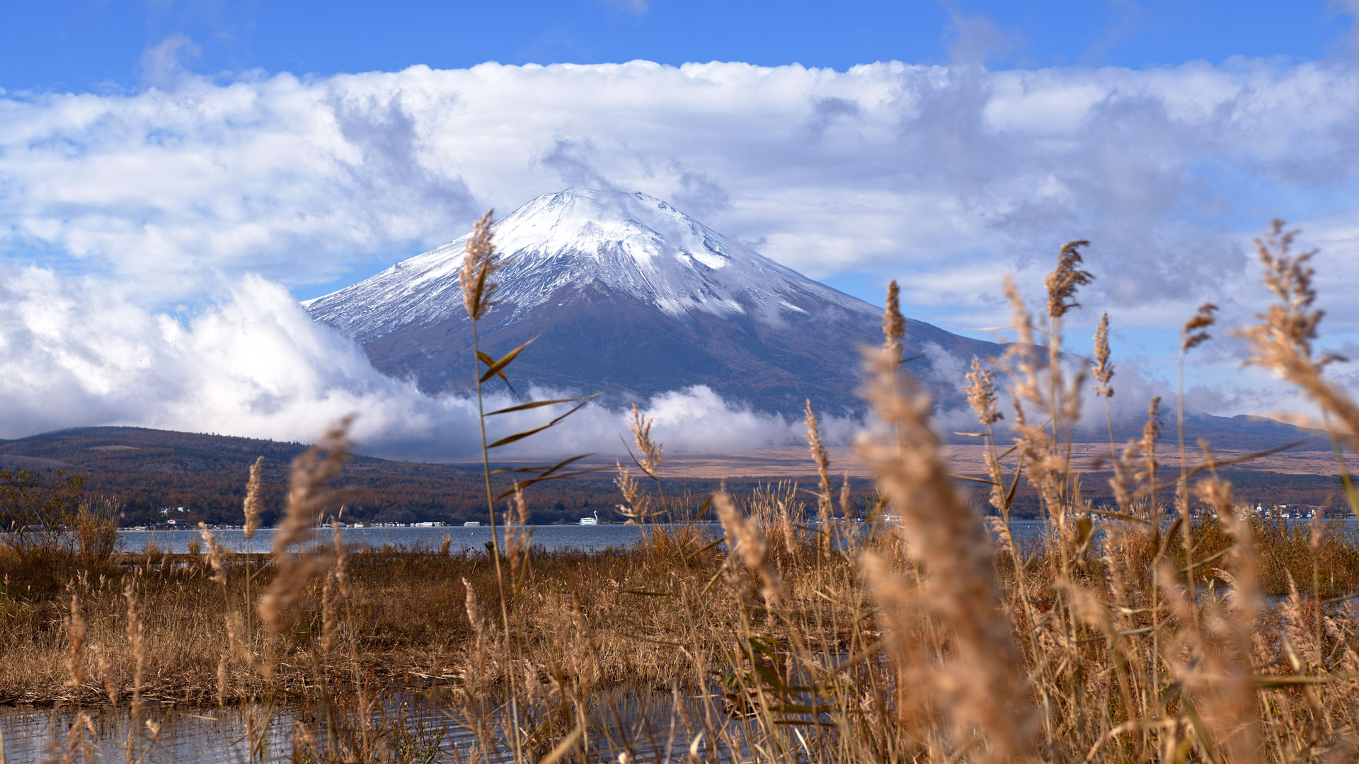 Mount Fuji