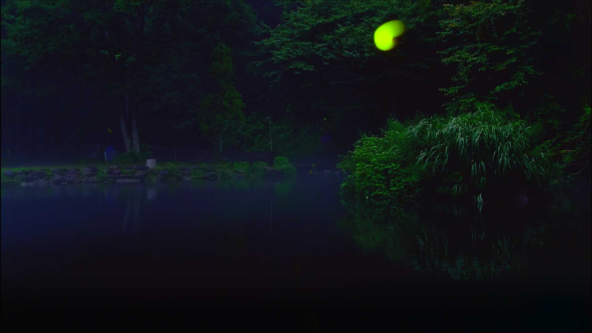 Hotaru – Firefly