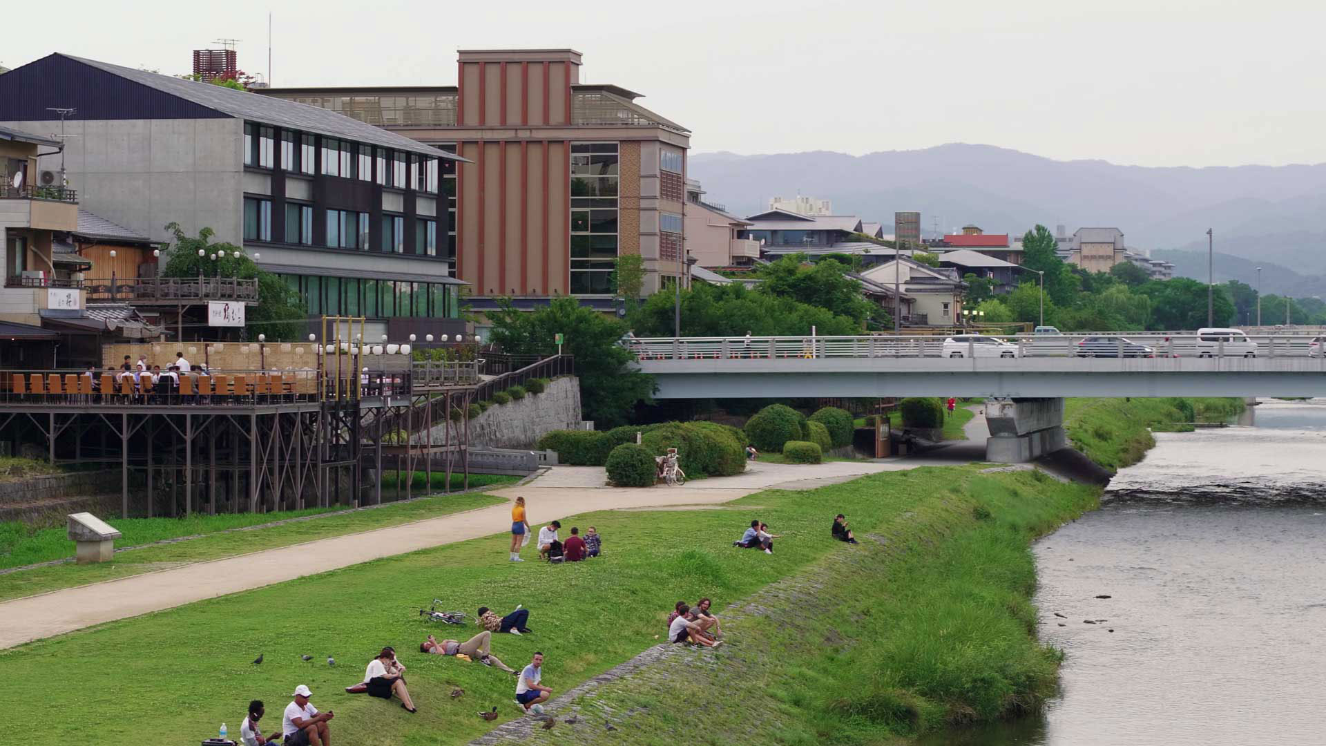 Kamo River “summer reverie”