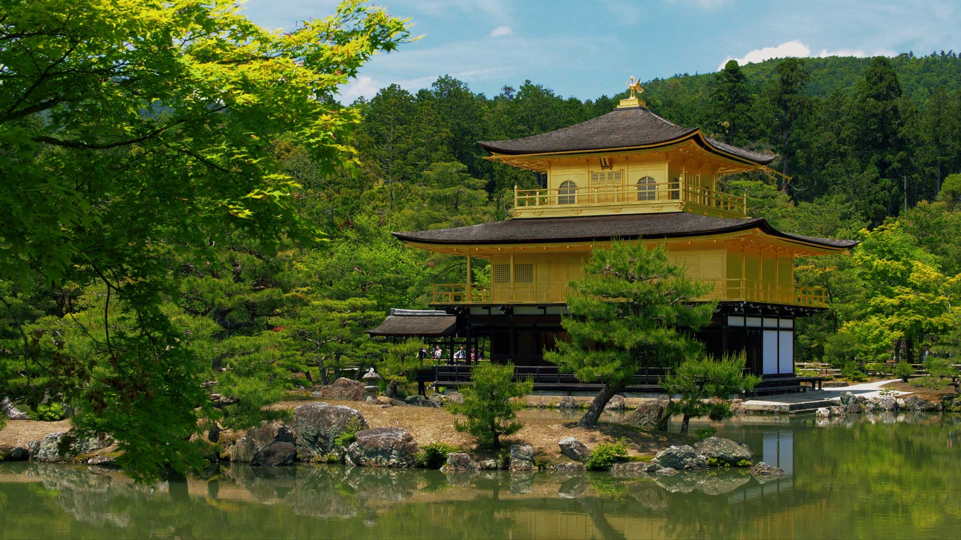 Kinkaku-ji in Summer