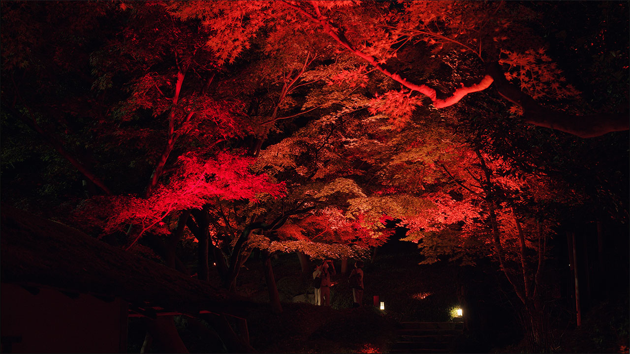 Tokyo Red Garden – Happo-En