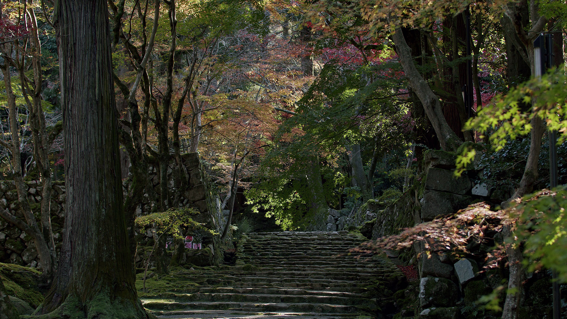 Saimyoji Temple