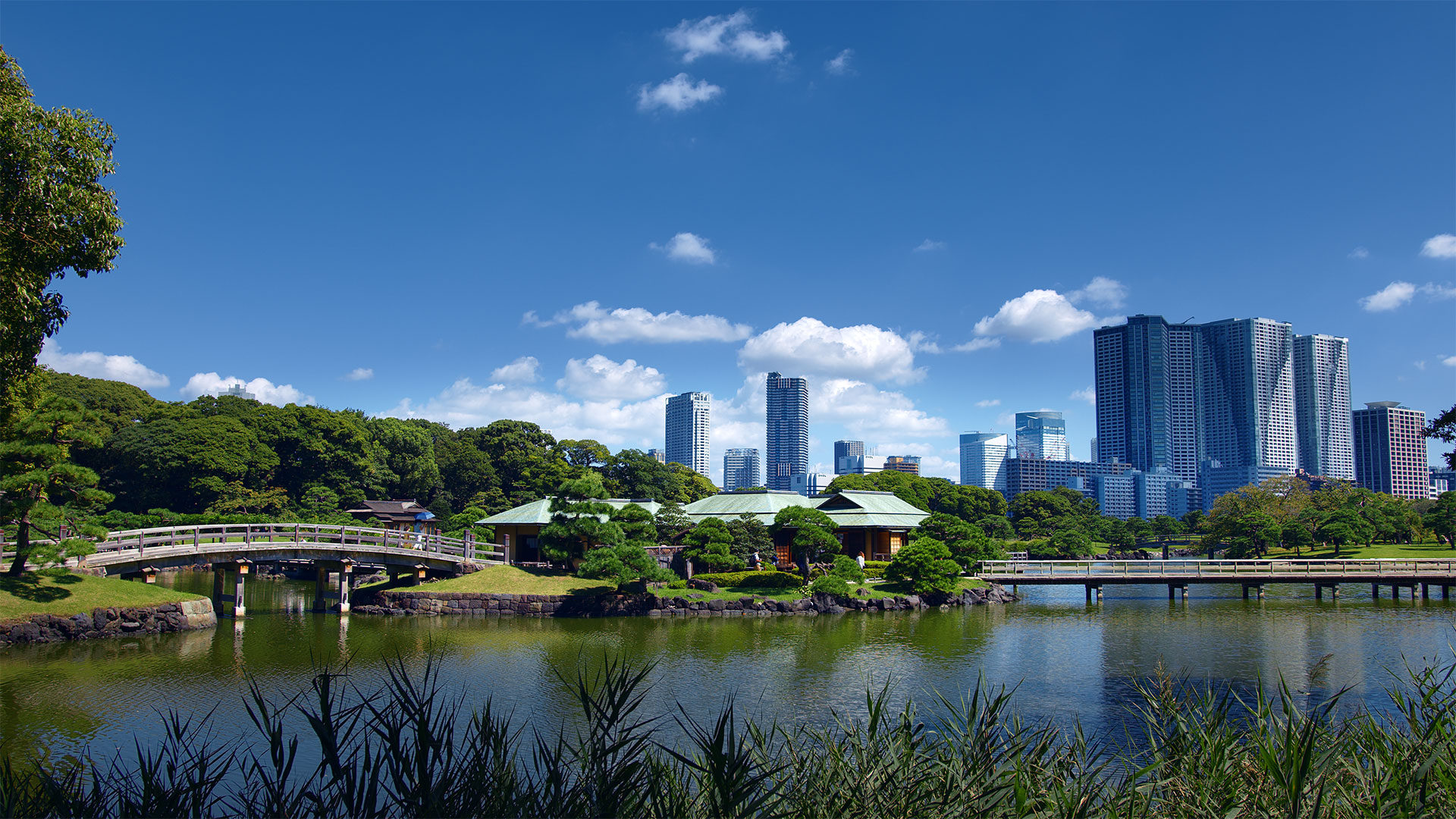 Hamarikyu Gardens