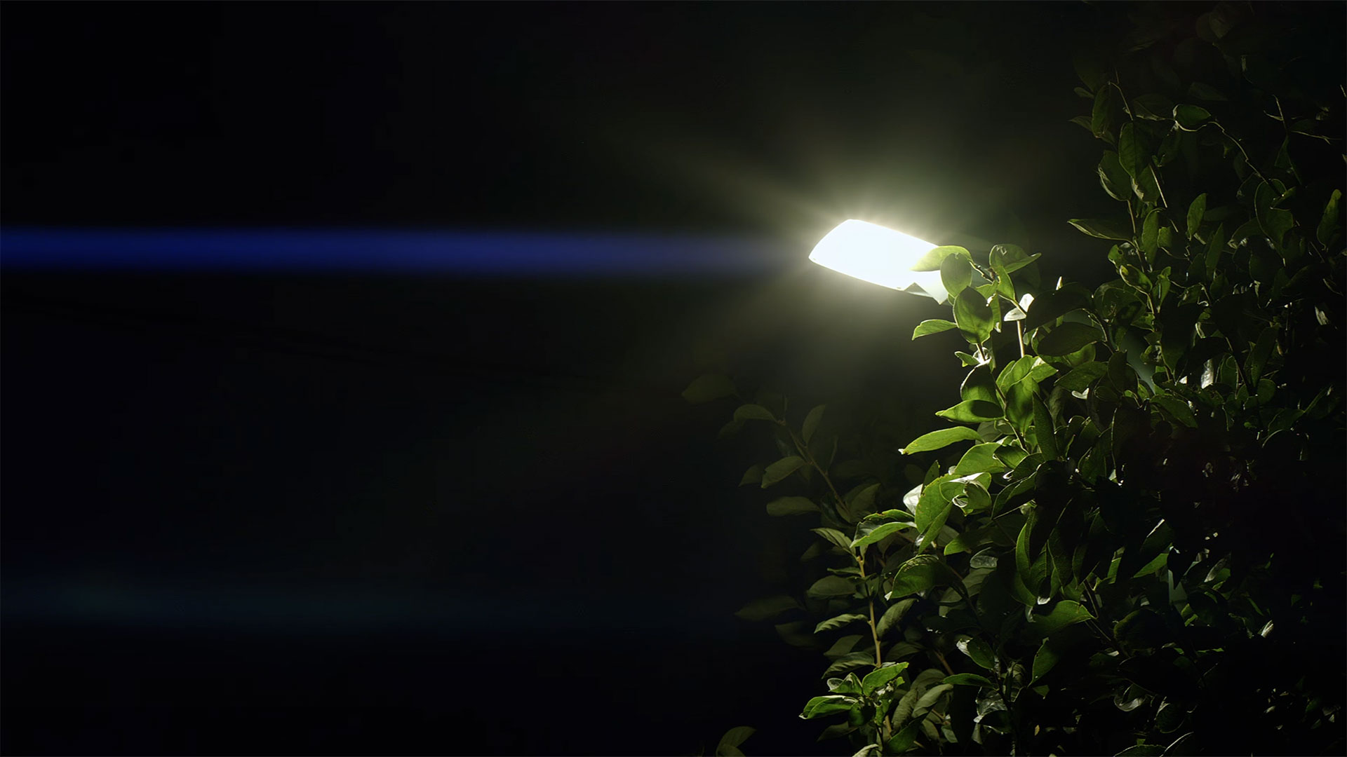Summer Night/Lights