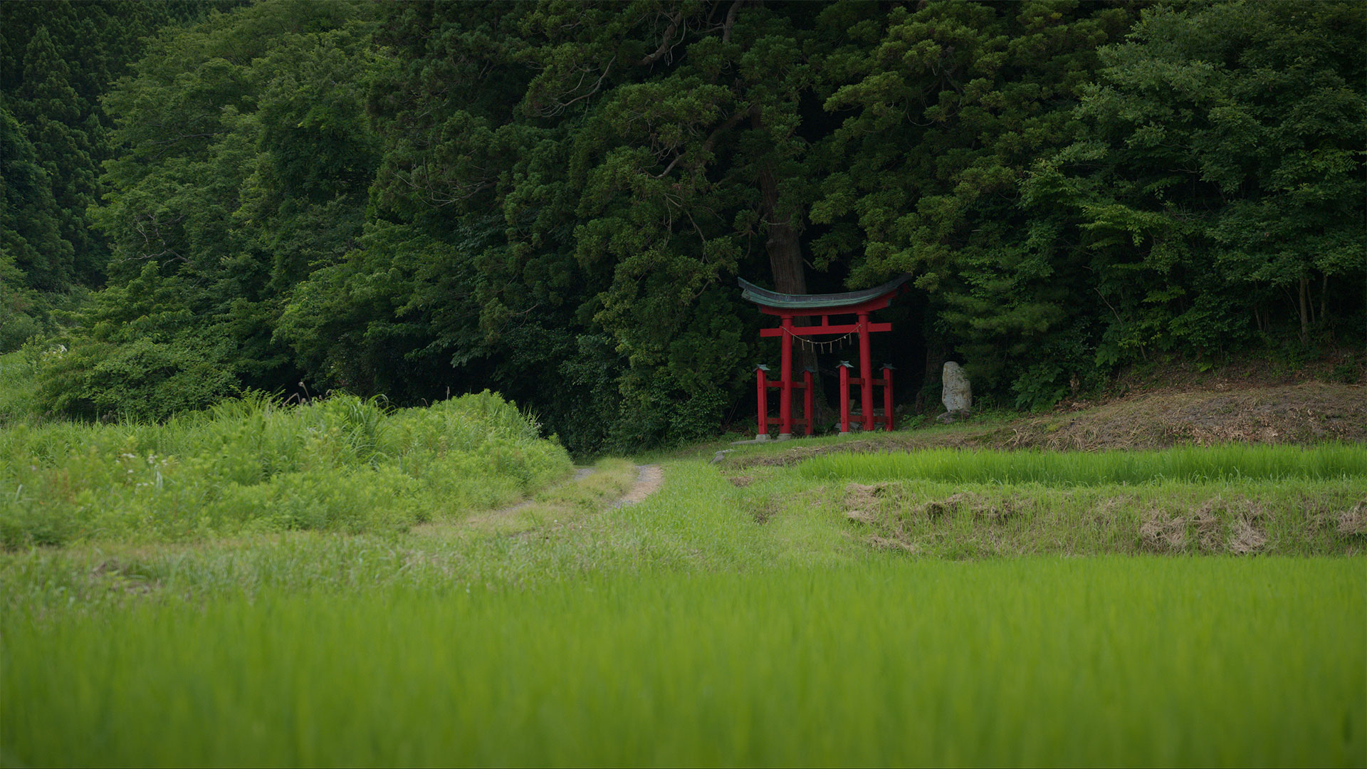 Kasuga Wakamiya Shrine